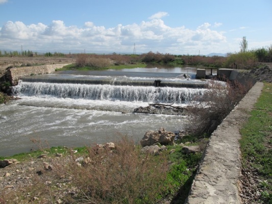 صوفی چای بناب