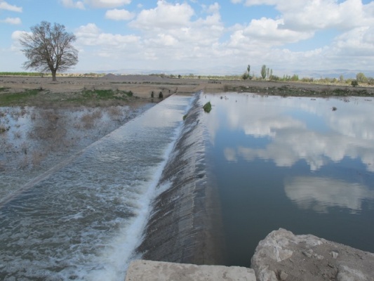 صوفی چای بناب