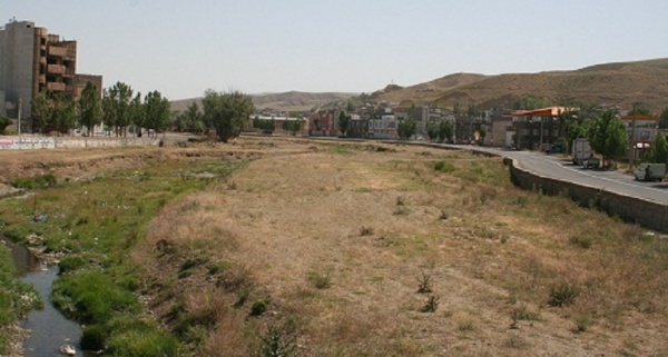 اوجان چای 4